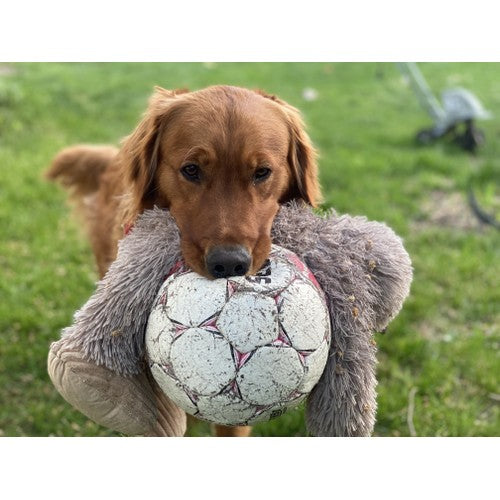 63ad7a6fad154760fe17b73d33d7b615