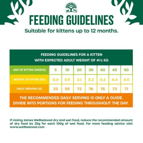 ece99226b0ce4342fb318b1bcea0ea43