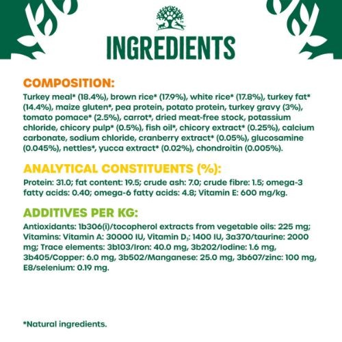 788651dcc459f76df3dfdeb6df1b3194