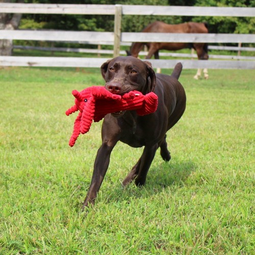 d5a3cc14e6cf8b04c00afa2a8dd1f782