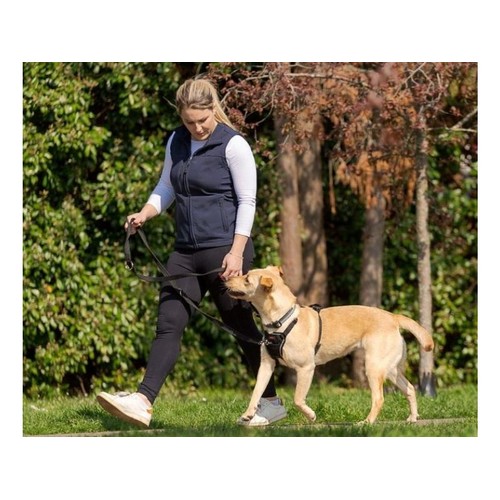 9c21ece24e16eb857d9b68a98f59c6ec