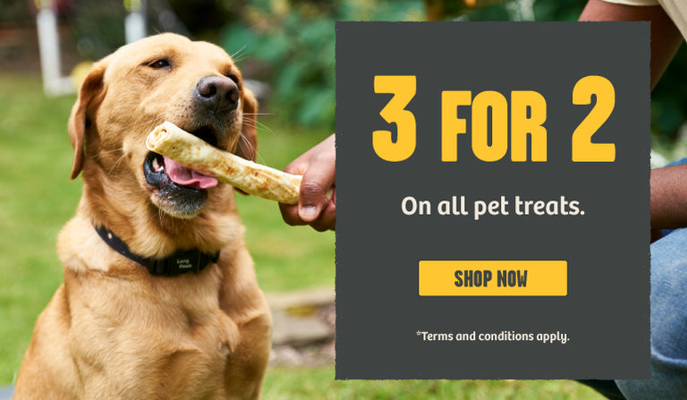 Pets Friends Online Pet Shop