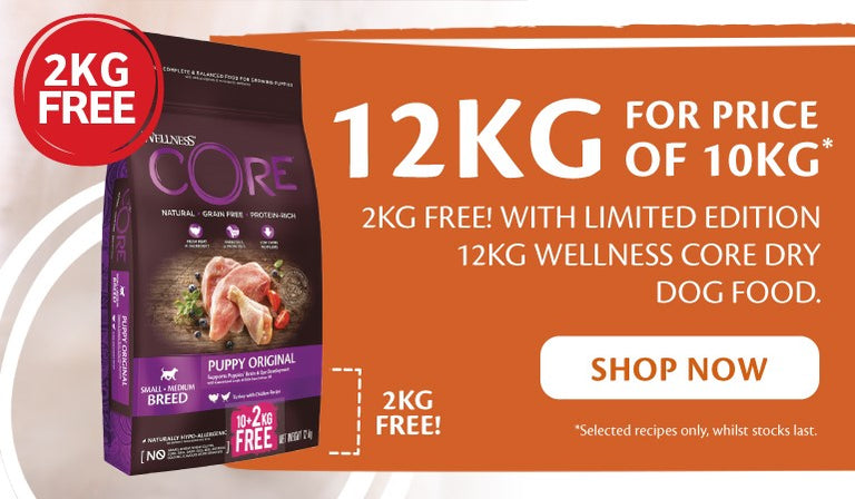 Cheap pet food online cheap