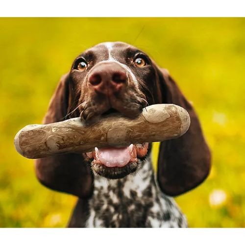 3aed36ddb40cb24150d514ac76854e27