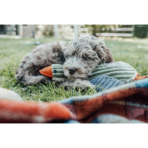 8266ec086d70d0d234544fcfb983ce5b