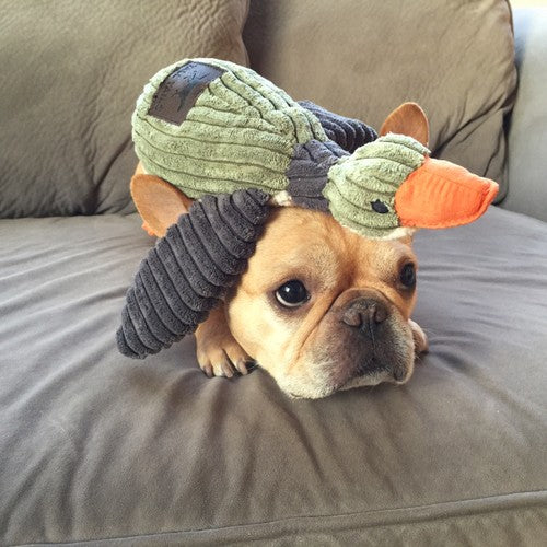 51b25b72f61932a72594be4b64caaf62