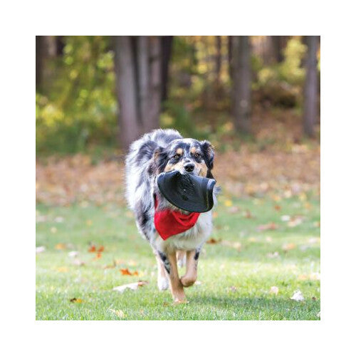 b050e454c5383a11bd90346a045be14a