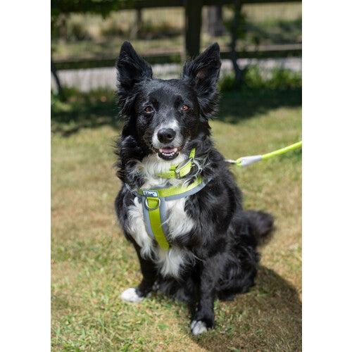 7595e2b23068bcab1bf65b9e1eacbfa2