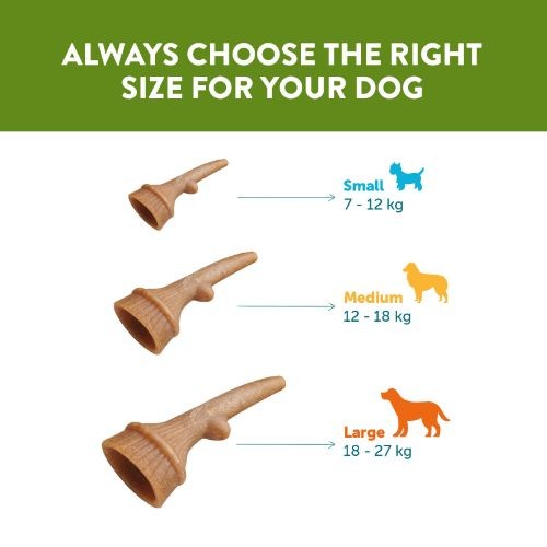 90eafc0b6da0c2e719a8f3e49031232c