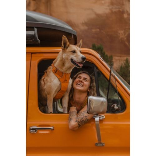 b627956cc7c86fb8dd34c5d1eba1a2d7