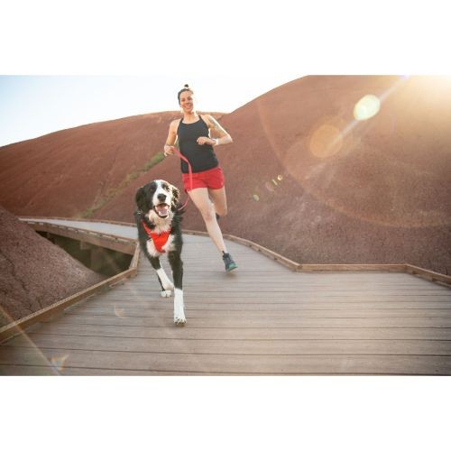 30cf12bf0eaab34991426ad5444ce24d