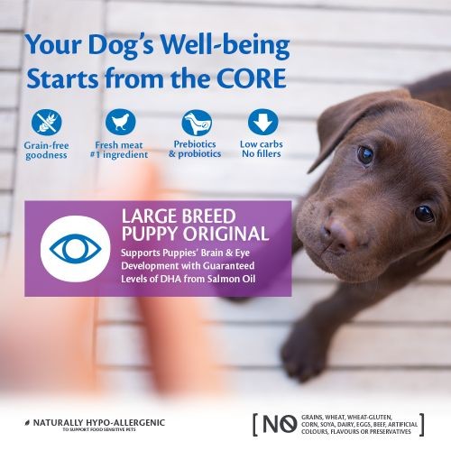 27dd4d81dabbcd7acd1b79c09ab2958a