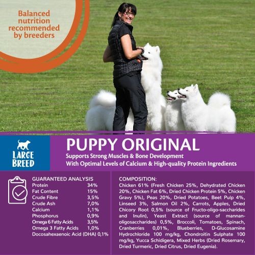 Wellness core large breed puppy food new arrivals