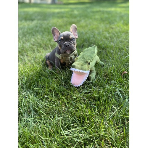 5551c7600dc3bb3c136a1457bf97f6b1