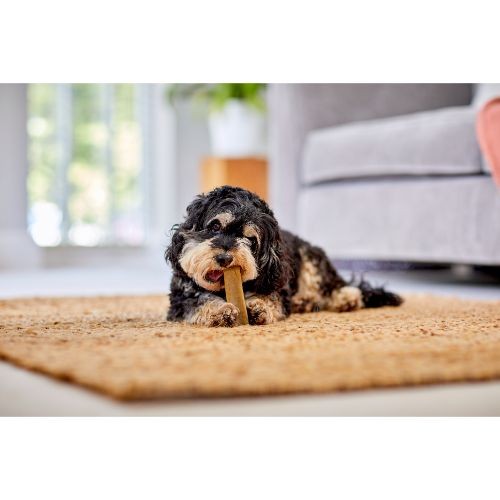 796ac700ea05799de8462b978a5430a6