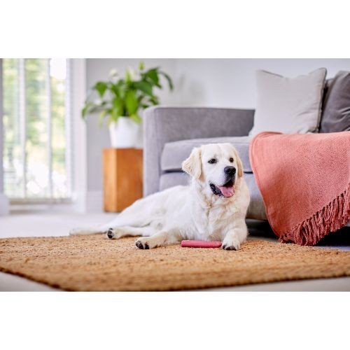 3e917e962fd4e82f5e1d3e82286bf7ba