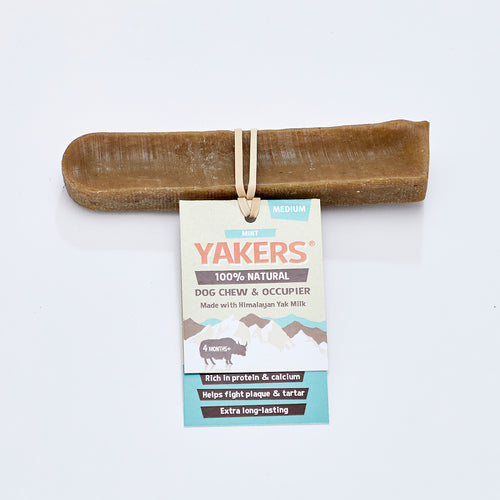 Yakers Himalayan Dog Chew Mint Medium