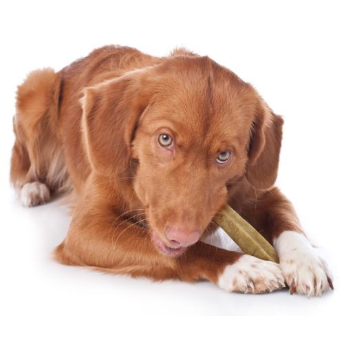 860ae0880bda6a2f187e94648e70314a