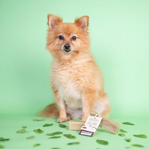 f8d729edbec879c3861d30b5440fdac3