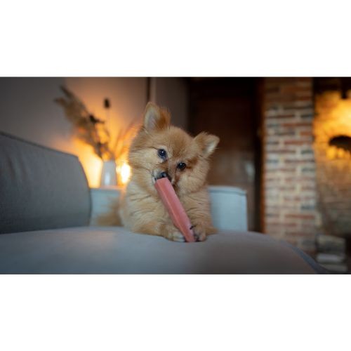 7ba8354be0ef2ccbcd1d3e1b0126cecc