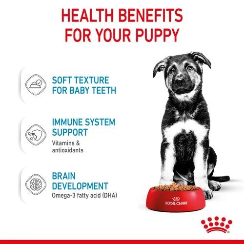 95f4ea020ac831c5d5154f183c9efd72