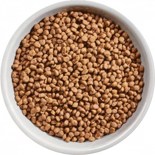 4719c221b0874e78cd49d9a174e852c8