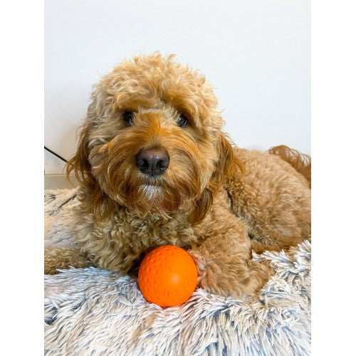 9626824e718d7f84afa59de1f53dae78