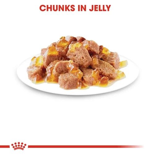 Royal Canin Ageing 12 Cat Food in Jelly Pouches 12 x 85g Royal Canin Pets Friends