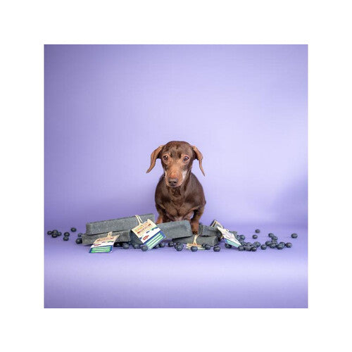 6ffe7298bf38cd335a6d57c09796a7f2