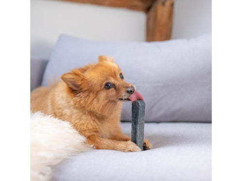 2bf27bc7f95c1883a924b83251b99266