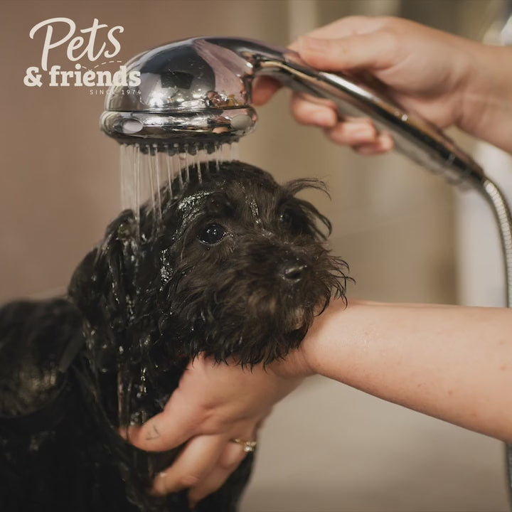 Dog at pets parlour having a groom