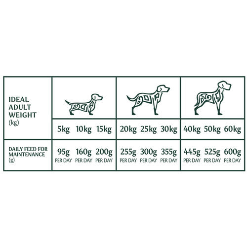 102a502a0039158e2c206066a344c1d2