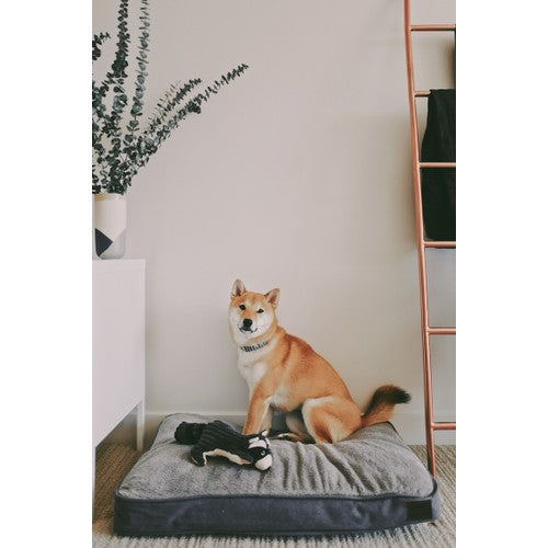 a0f88bae6e78273770baaeea74b2b05d