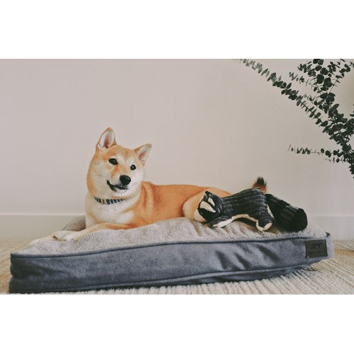 bf22a89f54c29cf00441110eb928b474