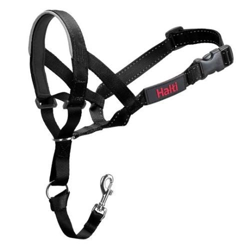 Head halter petsmart outlet