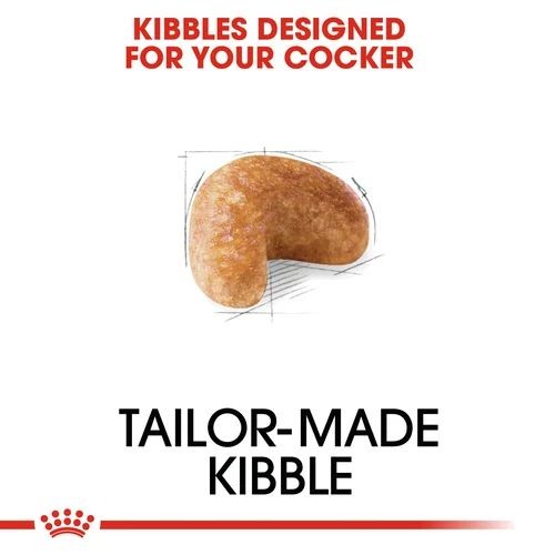 cb341f61acfe434efb144a4a34fd5702