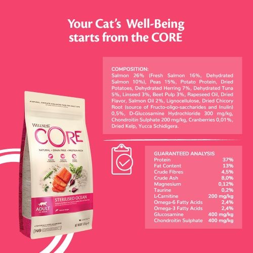 Wellness core hot sale taurine