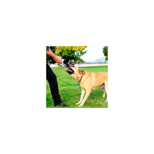 d87f0bf8778b183ee71ae5e8a2168ce6