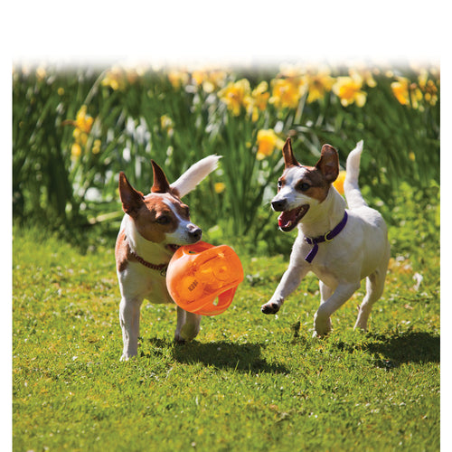 a64bb58a9ad158e8aaf53d748db158fa