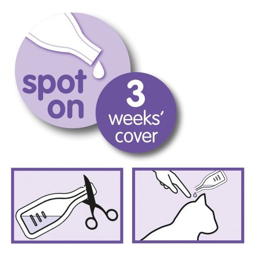 2ebd3a5ba683bfe7f0a483460fde0062