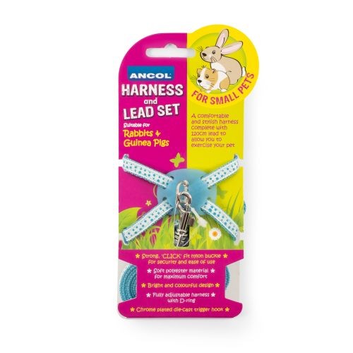 Small Animal Harness and Lead Set Blue