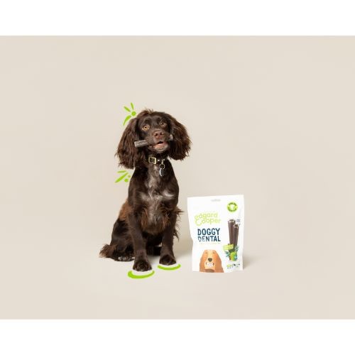 cc6a3b8dff0ea45036f0381938158836