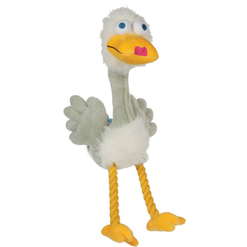 Happy Pet Bird Brain Swan