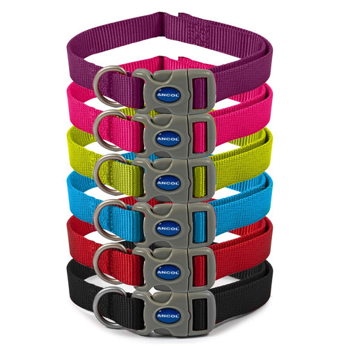 Ancol nylon dog collar sale