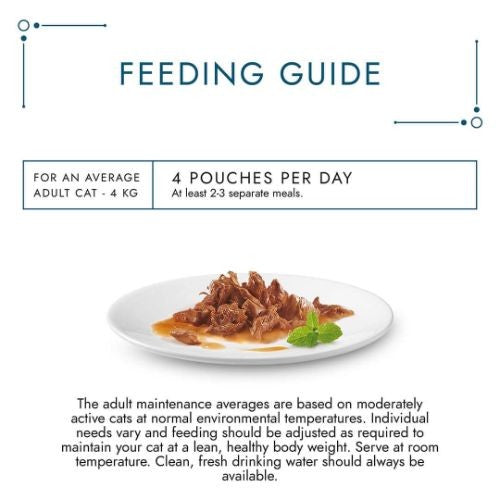 771bb1611108f499759cb9fa75638245