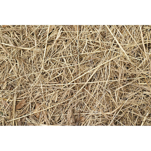 Ray The Hay Small Animal Loose Fill Bagged Straw Large