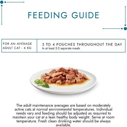 9bb50bebeb80d13def802c80a13b1797