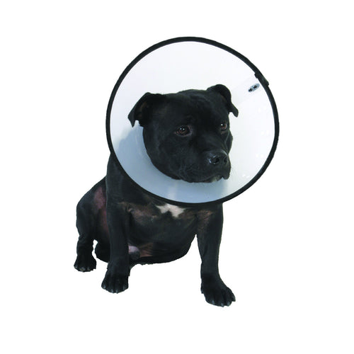 ea4d191b294387c0fcadccfe7cdbf2bb