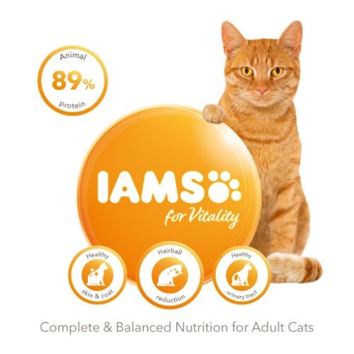 Iams mature sales hairball cat food