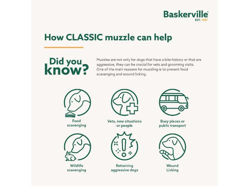 1a4a439dad087d0f9b9a4425bd6139a3